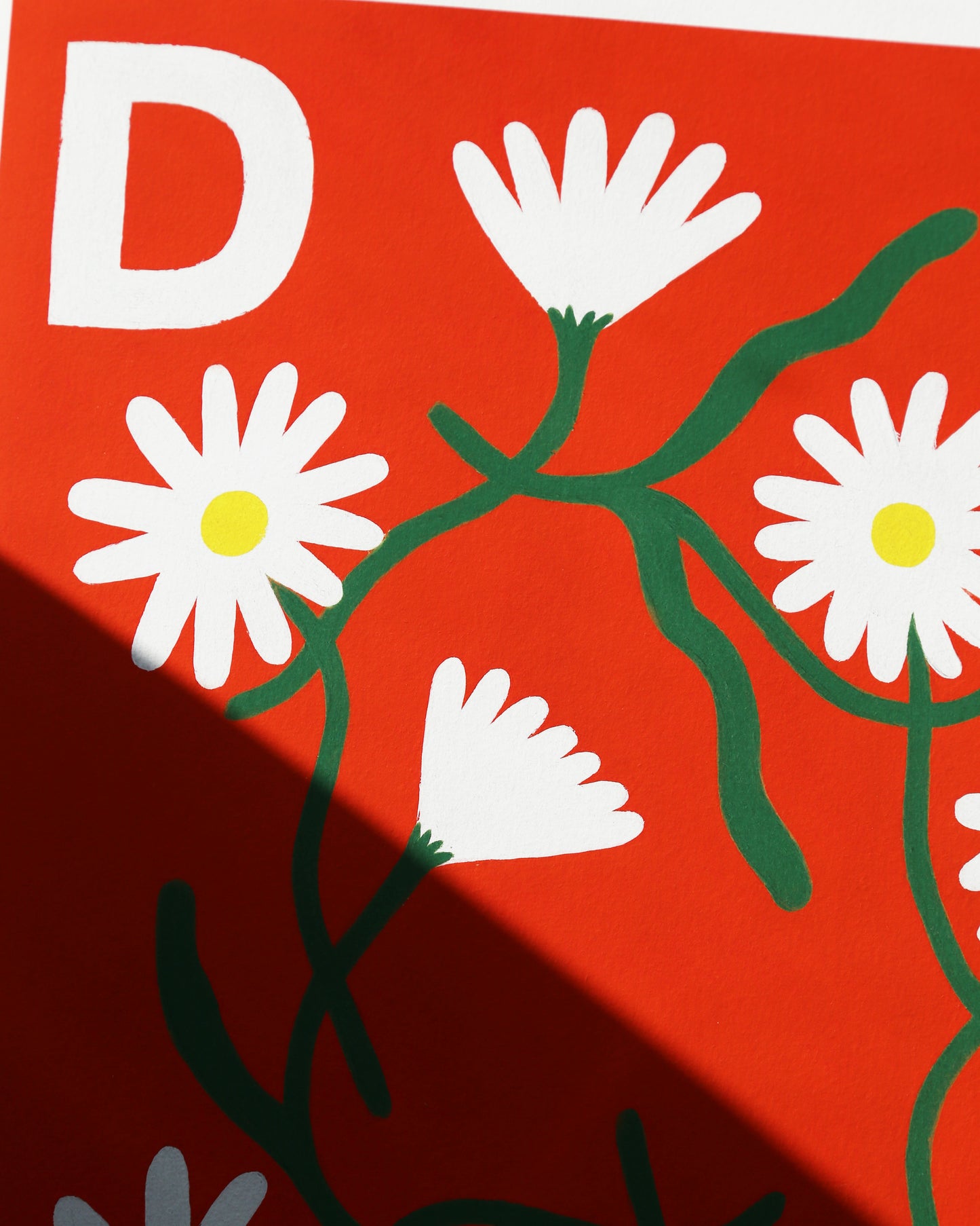 'D is for Daisies' giclée print